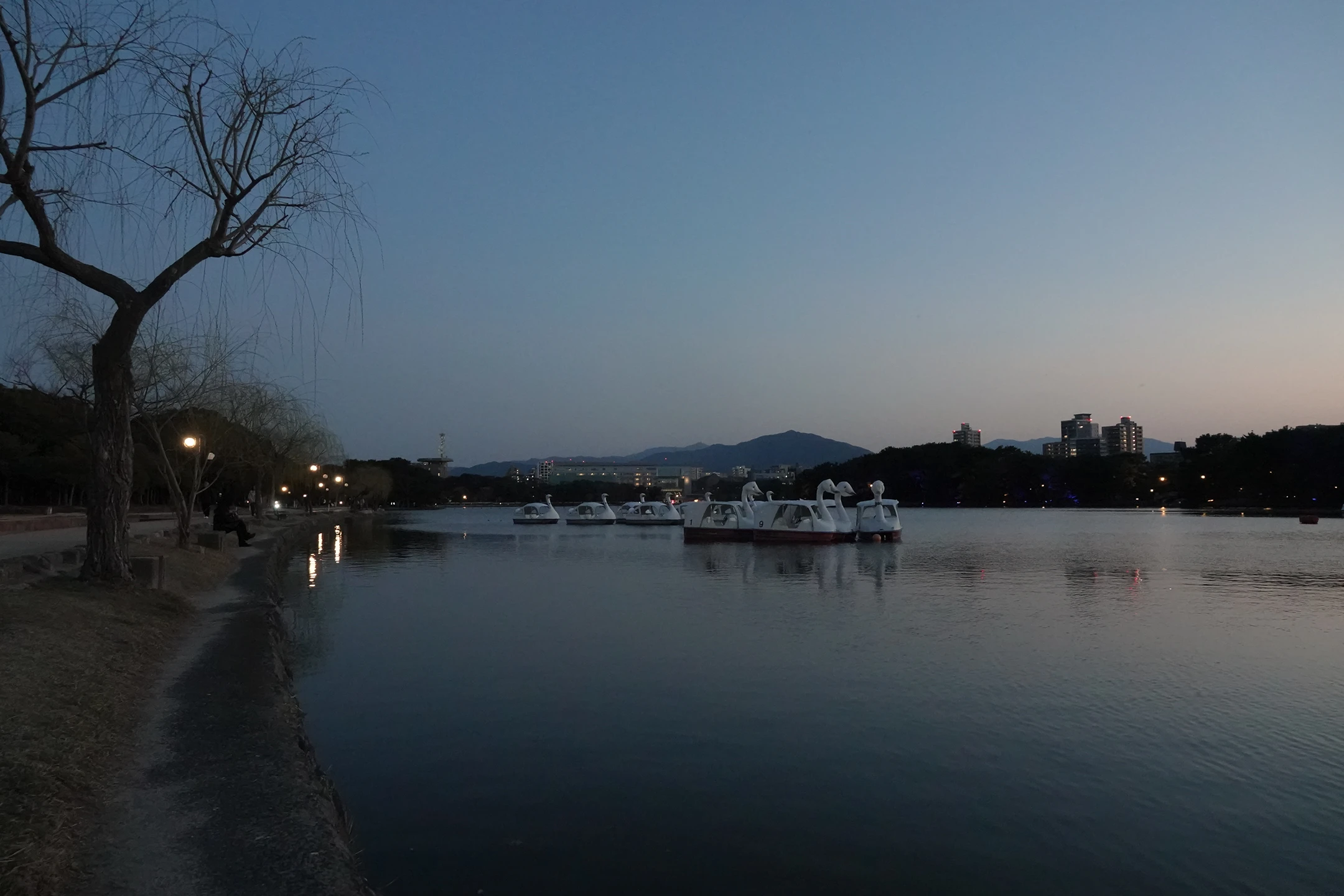 大濠公園大濠池池邊風景 3